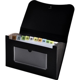 Lion 13-Pocket Small Ex panding File, 5-3/4 x 8-1/2 Inches, Black, 1 File (94300-BK)