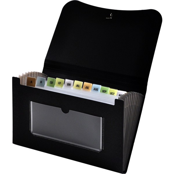 Lion 13-Pocket Small Ex panding File, 5-3/4 x 8-1/2 Inches,