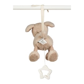 Lucky Dog Musical Box Small