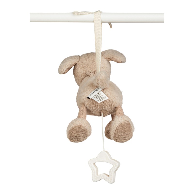 Lucky Dog Musical Box Small