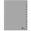 Durable Index for DIN A4, Full Coverage (Pack of 5,