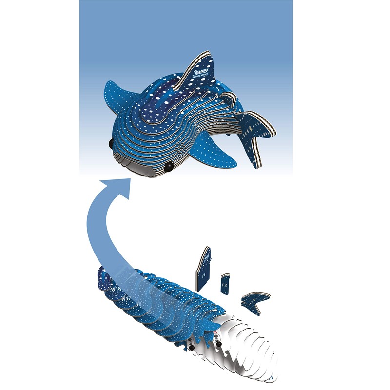 EUGY 3D Whale Shark Model