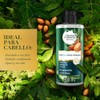 Herbal Essences Crema Para Peinar Bío:renew Argan Oil & Aloe