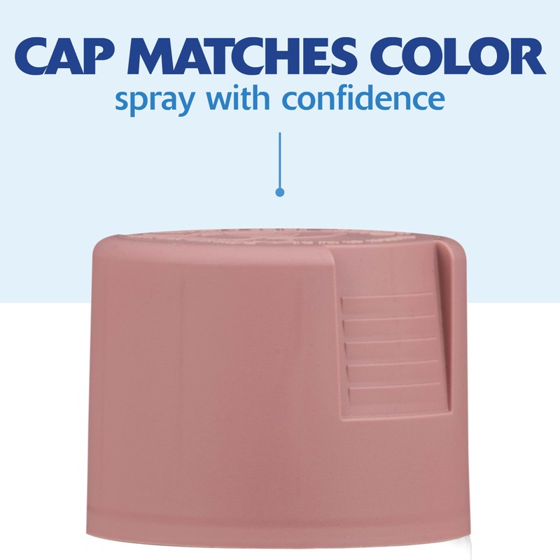 Rust-Oleum 299887-6PK Painter's Touch 2X Ultra Cover Spray Paint, 12