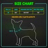 BSEEN LED Dog Collar - Rechargeable Light Up Dog Collar