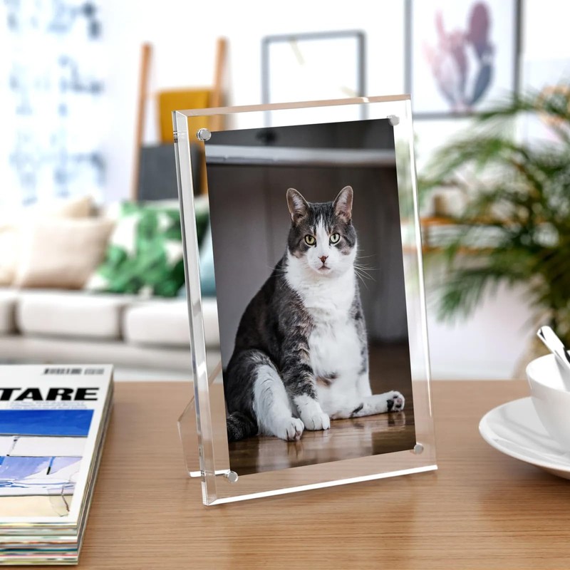 lalago Acrylic Magnetic Picture Frame, 20 x 25 cm, Frameless