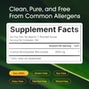 NatureBell Creatine Monohydrate Powder - 500g - Micronized Powder -
