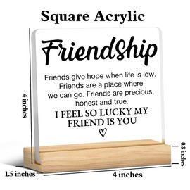 Friendship Gifts for Women Friend, Friend Gifts for Women Men, Birthday Christmas Gifts for Friends, I Feel so Lucky My Friend is You Acrylic Desk Sign Decor (4 x 4 Inches)