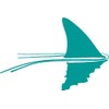 Shark in The Water Vinyl Decal - 5 Inches -