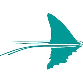 Shark in The Water Vinyl Decal - 5 Inches - for Cars, Trucks, Windows, Laptops, Tablets - Outdoor-Grade 2.5mil Thick Vinyl - Turquoise