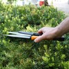 Kings County Tools Grass and Topiary Shears | Classic 6”