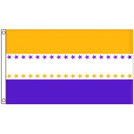 19th Amendment Women's Suffrage USA Victory for the Vote 5'x3' (150cm x 90xm) Flag