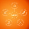 Recovery Effervescent- Orange Flavour | BCAA 2400mg with B6 and