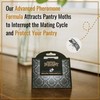 Dr. Killigan's Premium Double Potent Pantry Moth Traps with Pheromones