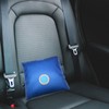 Pack of 2 Dehumidifier Cushions Car Interior with Indicator Dehumidifier