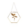 C&Z Hanging Wall Glass Frame for Pressed Flowers Dried Leaf