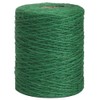 Vivifying Garden Twine, 656 Feet 2mm Green Plant Ties, Strong