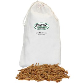 Exotic Nutrition Medium Live Mealworms (1/2") (2,000 Pack)