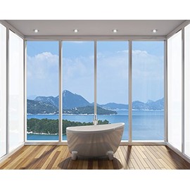 TOTAL WHITEOUT FROM £8.49 - PRIVACY WINDOW TINTING TINT FILM - 152cm x 2m