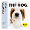 THE DOG 2026 Wall Calendar Large Size (Cavalier King Charles