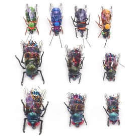 YZD Realistic Fly Fishing Dry Wet Nymph Trout Flies Topwater Lures for Freshwater Saltwater High Simulation Hand Tie Lure Kits 10 pcs