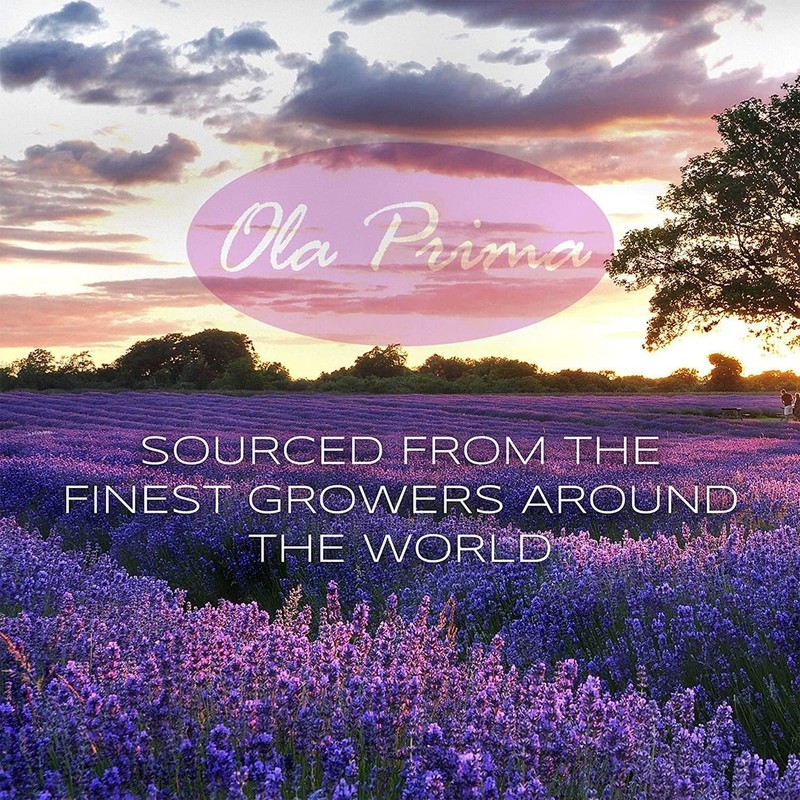 Ola Prima 4 oz Lavender Essential Oil for Diffuser, Soap,