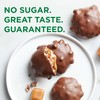 Russell Stover Sugar Free Pecan Delights with Stevia, 10 oz.