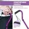 GPTCAMP G1 Walking Stick, Walking Cane for Women & Men