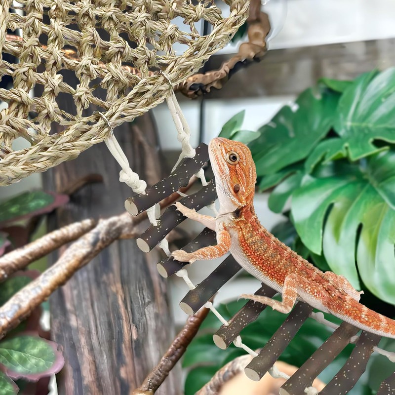 BNOSDM Reptile Hammock Reptile Wooden Ladder Bridge Bearded Dragon Hammock