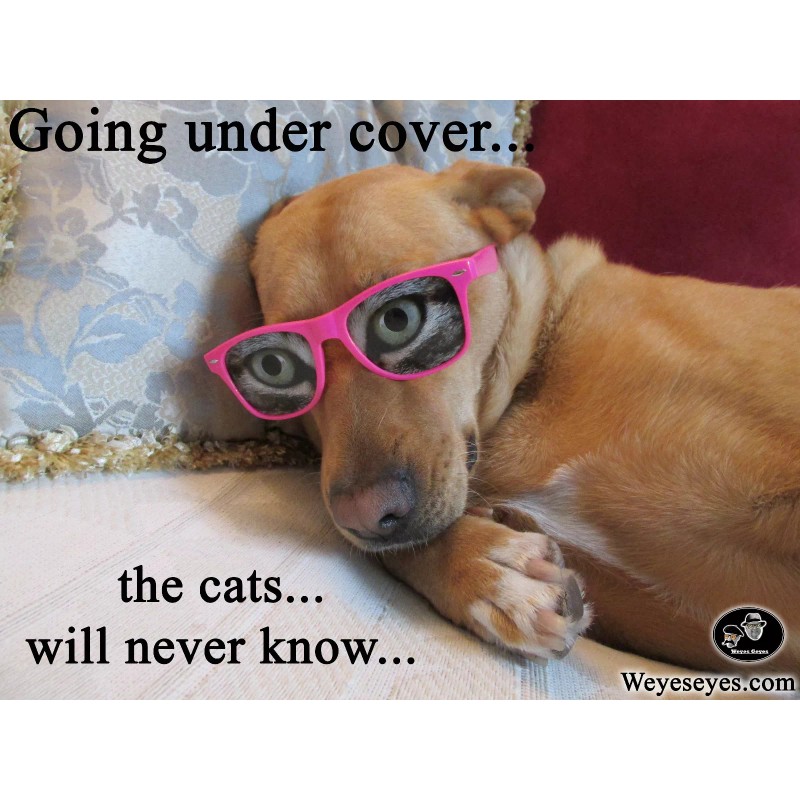 WeyesEyes.com "Skeptic" Unique Novelty Fun Glasses with Eyes from WeyesEyes.com.