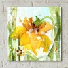 Epic Art 'Daffodil' by Dawn Derman, Acrylic Glass Wall Art,