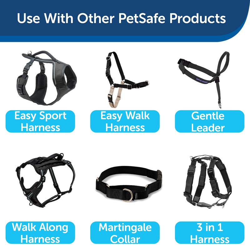 PetSafe Nylon Dog Leash - Strong, Durable, Traditional Style Leash