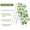 AGTEK 30" x 56" Foldable Cucumber Trellis with Zip Ties