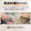 [Black Hair, Itching, Moisturizing, Hematin Blending, Refill] Momentary Drops Head