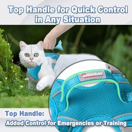 Cat Harness and Leash Set Escape Proof for Kitten Walking, Soft Adjustable Top Handle Vest Harnesses for Cats, Easy Control Breathable Reflective Small Medium Large, Blue,S