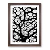 A Monochrome Tree No.6 Framed Print for Living Room Bedroom