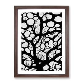 A Monochrome Tree No.6 Framed Print for Living Room Bedroom Home Office Décor, Wall Art Picture Ready to Hang, Walnut A4 Frame (34 x 25 cm)