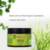 Mielle Rosemary Mint Collection Hair Masque