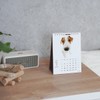[ArtlistCollectionTHE DOG] Desktop Calendar ≪Maltese≫ 2025-7.1" x 5.1"