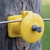 Aislador De Boton Poste Madera Fishock Clavo Una Sola Cabeza