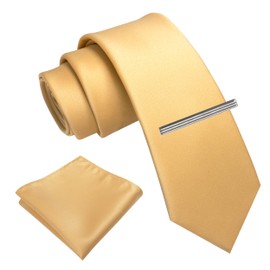 RBOCOTT Champagne Skinny Tie and Pocket Square with Tie Clip Set(13)