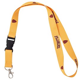 Flagler College Saints Car Keys ID Badge Holder Lanyard Keychain Detachable Breakaway Snap Buckle (Yellow)