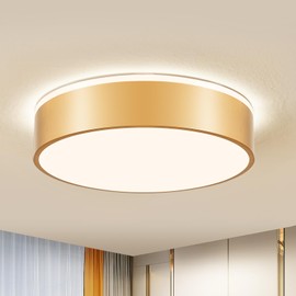 Vikaey Gold LED Ceiling Light, Modern Flush Mount Ceiling Light Fixture, Minimalist Round Metal Lighting Fixture Ceiling Lamp for Living Room, Entryway, Bedroom, Kitchen, 15.74 Inch