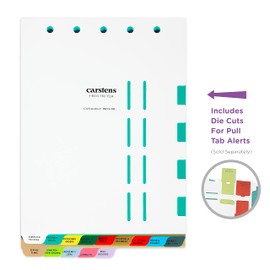 Carstens Heavy Duty Plastic Assisted Living Divider Set, 14-Tabs, with Pull Tab Die Cuts, 2671-00, for Top-Opening 2-5 Ring Binders
