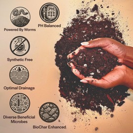 Grow Queen Craft Aroid Potting Mix- Elite Alocasia, Philodendron, Monstera Soil Mix, Chunky, Well Draining Potting Soil for Indoor Plants, All Tropical Plants & Houseplants, Synthetic & Peat Free 2QT