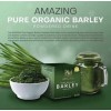 I Am Worlwide AMAZING PURE ORGANIC BARLEY Powdered Drink Mix-