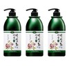 Heartleaf Functional Double Hair Shampoo 1000g, Floral Scent 3 Units
