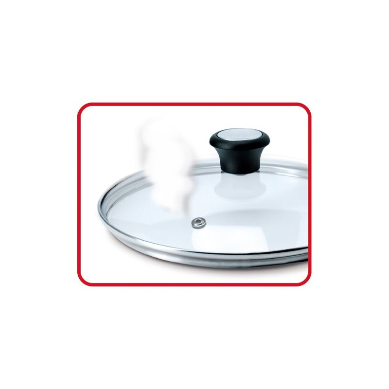 Tefal 28056 Pot, Frying Pan, Lid, 10.2 inches (26 cm),