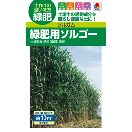 Takii Seedlings Sorghum (For Green Manure), Sorgo for Green Manure