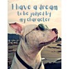 I have a dream to be judged by my character: